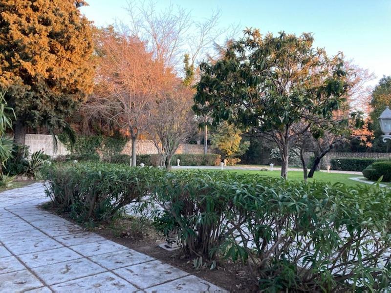 Gite Comme A La Maison Hyères Dış mekan fotoğraf
